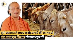 up-government-launched-nand-baba-milk-mission-scheme-at-a-cost-of-rs-1000-crore