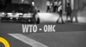 wto-must-evolve-from-an-organisation-to-a-strong-institution--experts