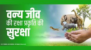 protection-of-wildlife-protection-of-nature