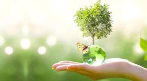 world-environment-day-only-one-earth