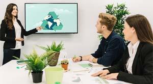 how-to-start-a-green-business