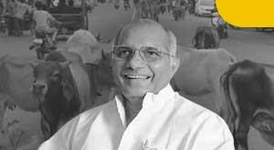 animals-will-not-be-seen-on-roads-livestock-minister