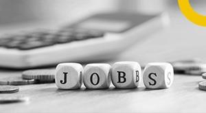 TCS Hiring Freshers with Tech Skills and Big Salaries – Know the Process