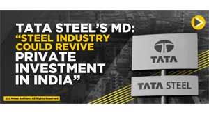 tata-steel’s-md--steel-industry-could-revive-private-investment-in-india