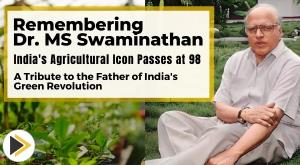 dr-ms-swaminathan-father-of-the-green-revolution-in-india