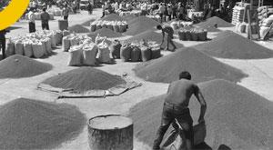 government-hikes-minimum-support-price-for-kharif-crops