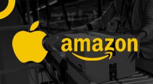 despite-price-rise-increase-in-sales-of-apple-amazon