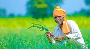 primary-agriculture-credit-societies-pacs