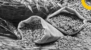 fci-takes-short-term-loans-again-raises-rs-22-000-cr