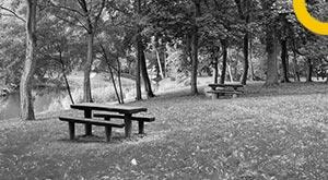 first-oxygen-park-to-be-built-in-bihar-know-what-will-be-the-specialty