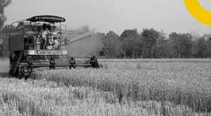 36-countries-including-us-urge-un-members-to-keep-food-markets-open