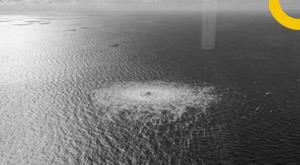 leakage-in-russia-s-nord-stream-gas-pipeline-tampering-suspected