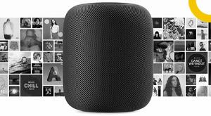 apple-topped-tesla-as-the-most-shorted-stock-in-the-united-states