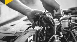 stellantis-expects-india-profitable-market