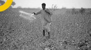 iffco-introduces-worlds-first-liquid-nano-urea-for-farmers