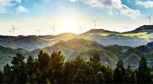 blockchain-can-be-a-vital-tool-to-boost-sustainability