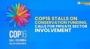 cop16-stalls-on-conservation-funding-calls-for-private-sector-involvement