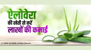 earn-lakhs-by-cultivating-aloe-vera