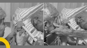 letelete-letelete-is-a-song-sung-by-the-elderly-on-the-hospital-bed-the-video-of-true-love-is-winning-hearts