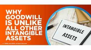 goodwill-unlike-intangible-assets
