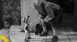 how-two-recent-pinocchio-movies-demonstrate-a-hollywood-trend