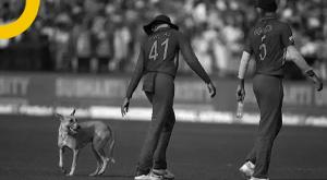 ind-vs-sa-dog-entered-the-field-during-the-match-african-players-clashed-know-details