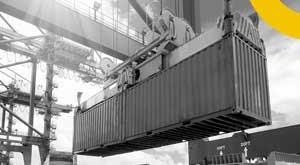 find-out-how-india-achieved-usd-50-billion-export-target-in-the-agriculture-sector