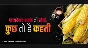 profitable-maize-farming-some-so-has-says