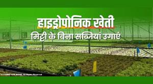 hydroponic-farming-grow-vegetables-without-soil