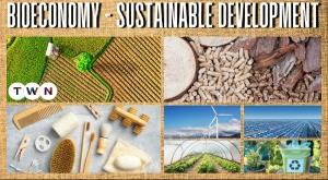 what-is-bioeconomy-and-how-does-it-support-sustainable-development-and-circularity