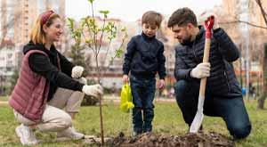 benefits-of-planting-trees-in-the-modern-era