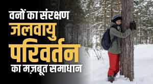 conservation-of-forests-a-strong-solution-to-climate-change