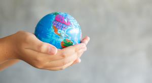 how-is-an-eco-friendly-business-succeeding