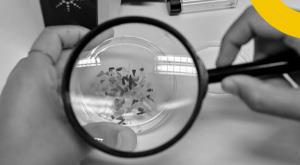 microplastics-discovered-in-new-antarctic-snow