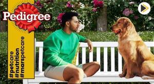 pedigree-india-ropes-in-varun-dhawan-as-first-brand-ambassador
