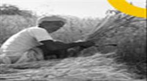 up-government-giving-grant-for-the-purchase-of-agricultural-machinery