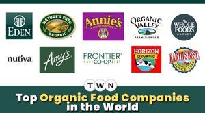 top-organic-food-companies-in-the-world
