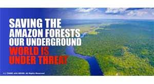 saving-the-amazon-forests