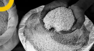 rice-export-india-raises-issues-related-to-agriculture-and-rice-export-with-uae