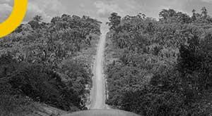 new-restrictions-could-reduce-carbon-offsets