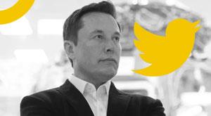 elon-buy-twitter-crypto-coin-launched