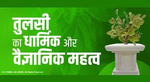 religious-and-scientific-importance-of-tulsi