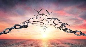 lockdown-disaster-or-opportunity