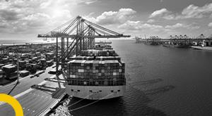 government-extended-the-foreign-trade-policy-for-six-months-know-the-details