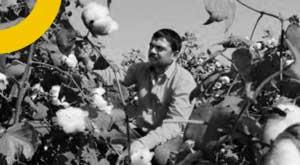 import-duty-on-cotton-industry-ended