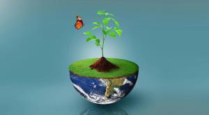 world-nature-conservation-day-know-its-history-significance-and-theme