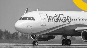 indigo-emphasis-on-providing-better-facilities-to-differentlyabled
