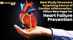 new-study-uncovers-surprising-source-of-cardiac-inflammation-offers-new-hope-for-heart-failure-prevention