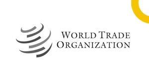 wto-must-evolve-from-an-organisation-to-a-strong-institution--international-cuts