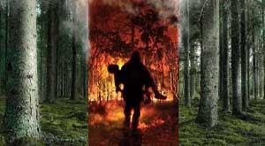 global-warming-lawsuits-are-on-the-rise